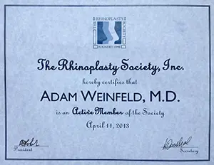 The Rhinoplasty Society
