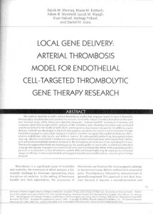 Article cover for Gene Therapy Research