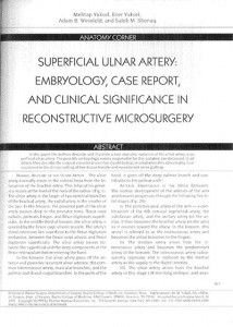 Article about Superificial ulnar artery