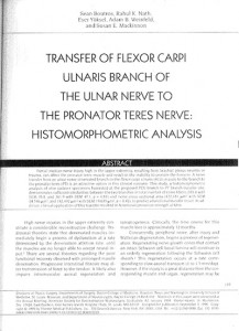 Flexor Carpi transfer article